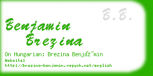 benjamin brezina business card